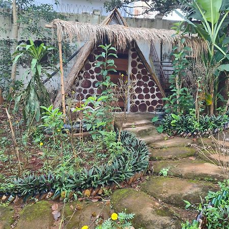 Backpacker Hostel And Jungle Trekking 반룽 외부 사진