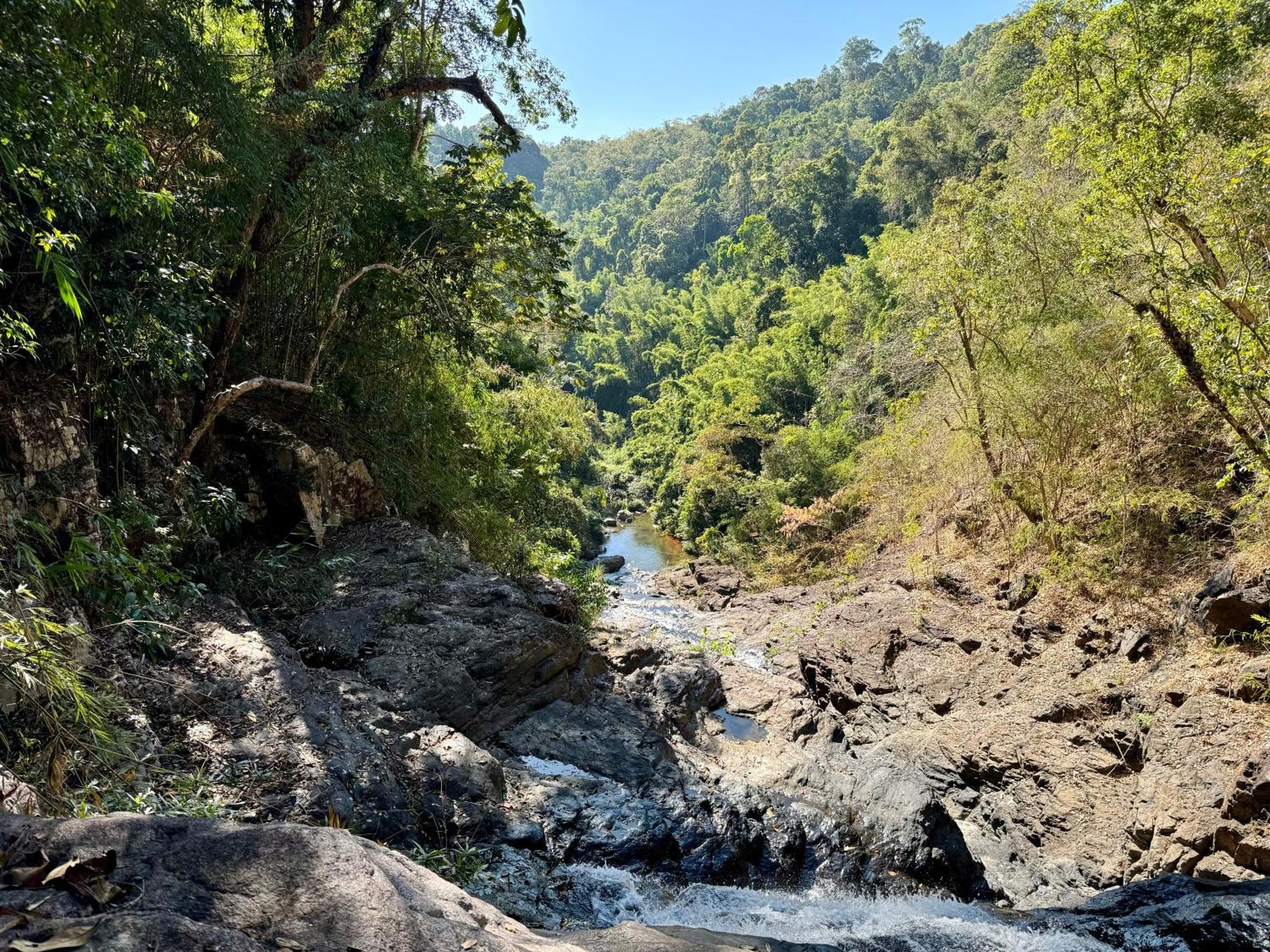 Backpacker Hostel And Jungle Trekking 반룽 외부 사진